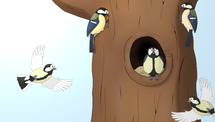 Rencontre mensuelle du Groupe local royannais